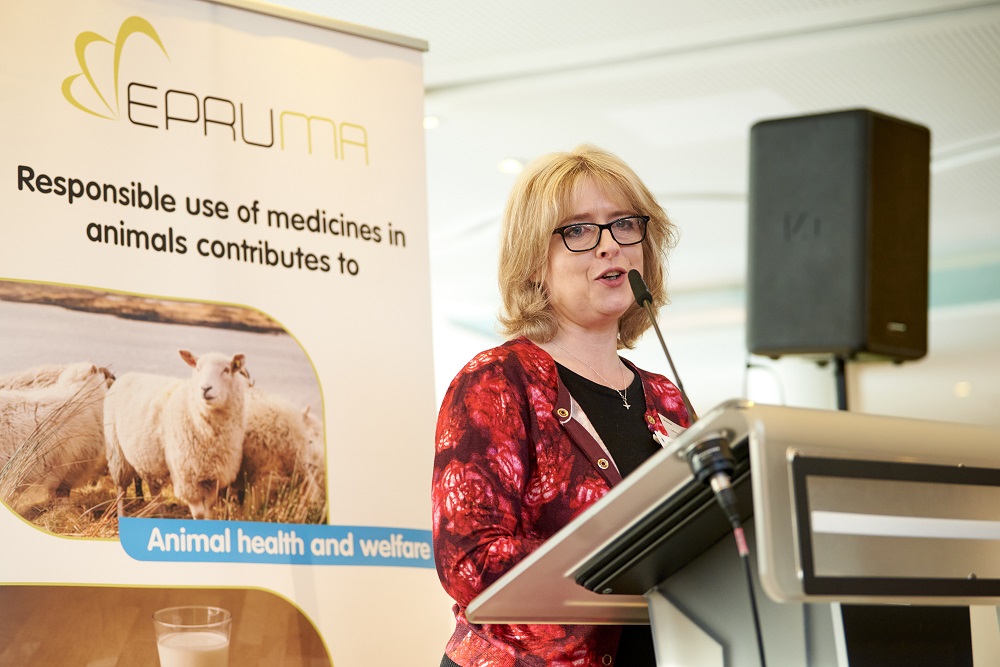 Catherine McLaughlin